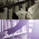 Illustration for article titled Chinese University Marks Anniversary with Rip-Off Allegations